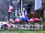 Flamingo Christmas