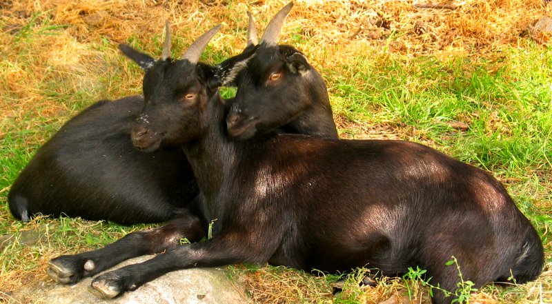 Psst, hes taking a picture of us.
