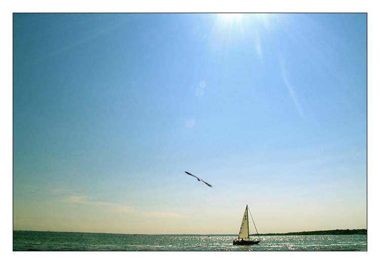 Out to sea (*)