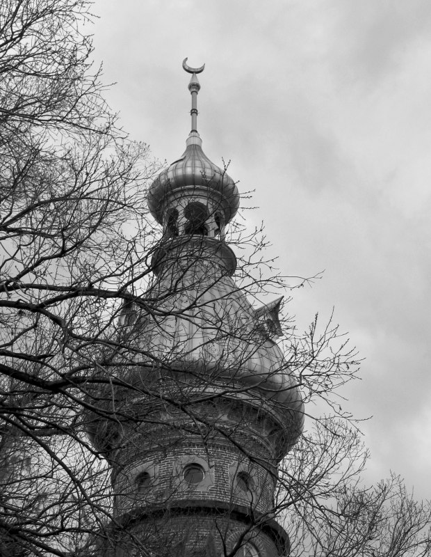 University of Tampa *