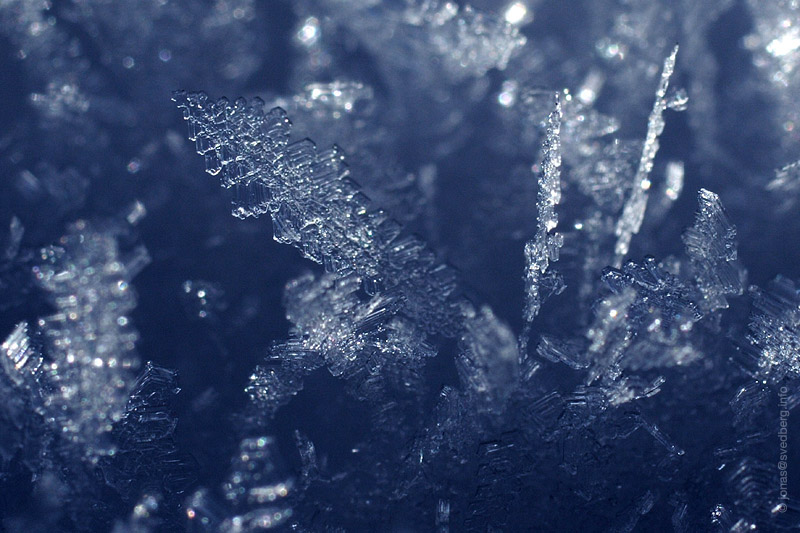 -5 Celcius