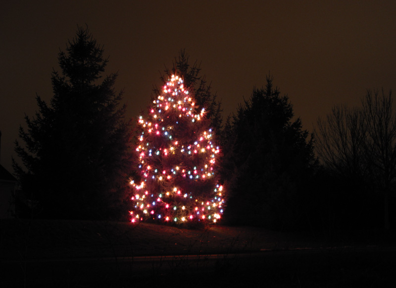 Tree Lights