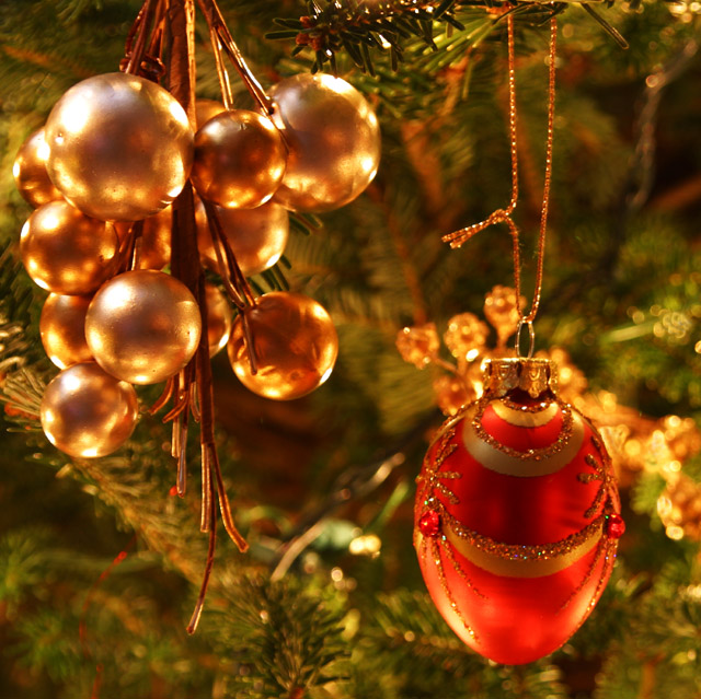 Red and Gold