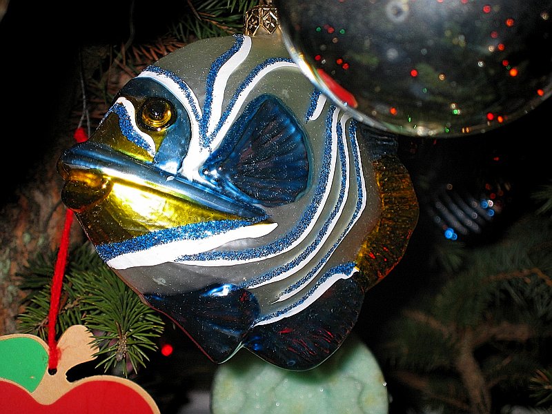 Have a fishy Christmas!