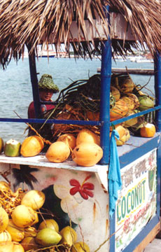 Mexico