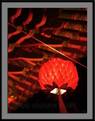 Buddhist Temple Lotus Lantern