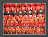 Lanterns for Buddha's 2543rd Birthday