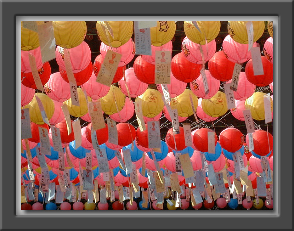 Lanterns for Buddhas 2543rd Birthday