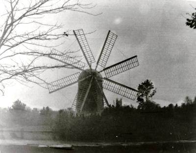 Wind Mill.jpg