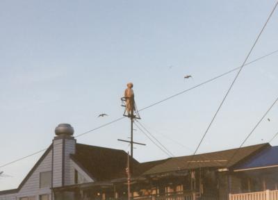 Crows Nest