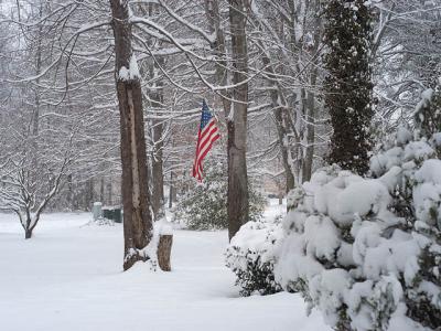 US_Flag_MD_winter.jpg