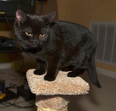 DSC_6259.jpg
