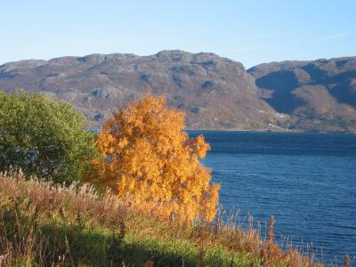 October outside Narvik.jpg