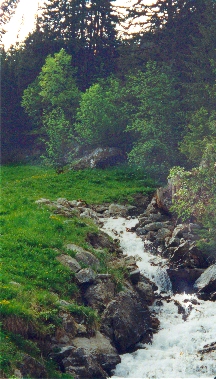 A stream near the trail from Murren to Grutschalp. (1)