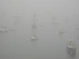 Boats in Fog