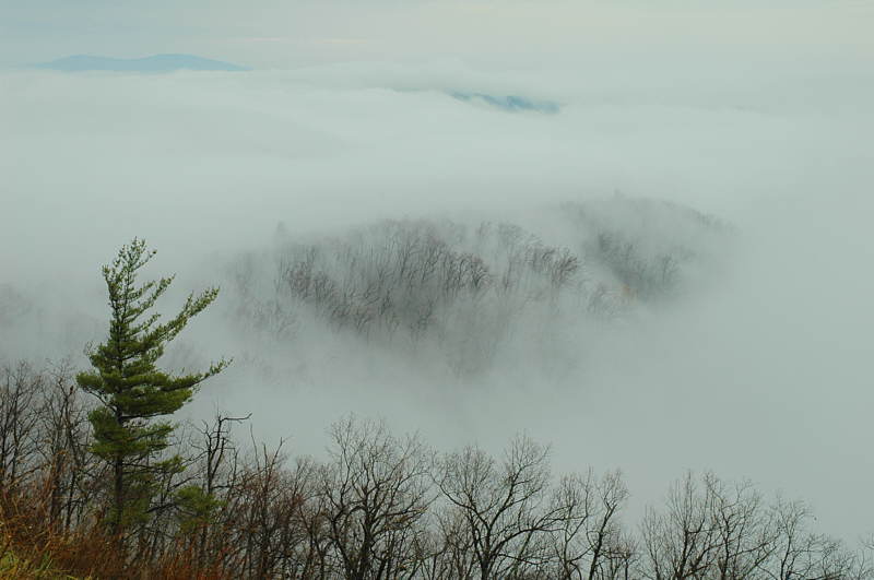 11/20/04 - Mist & Clouds