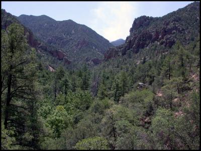 Head of South Fork Canyon