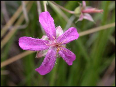 DSCN3814.jpg