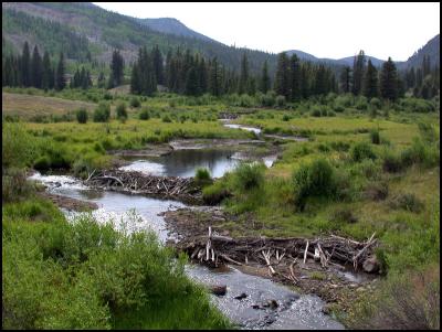 DSCN3844.jpg