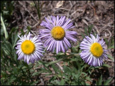 DSCN3860.jpg