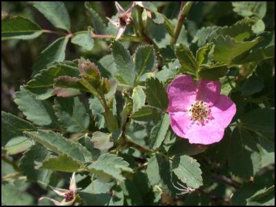 DSCN3865.jpg