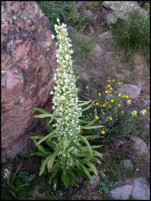 DSCN3934.JPG