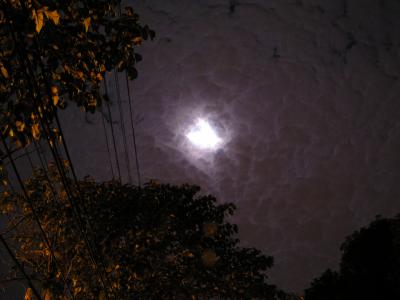 Cloudy Night