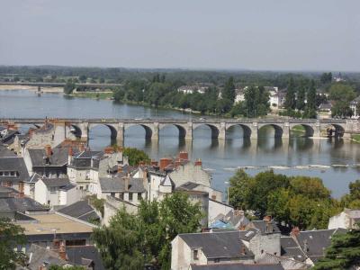 Loire  - The Bridge at Saumur