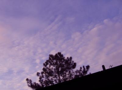 u20/etfitz/medium/36438480.cloud.jpg