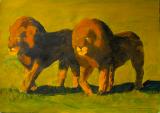 Serengeti Lion brothers
