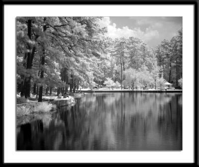 Briscoe Park