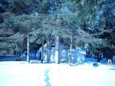 Cabane