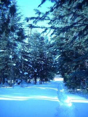 Chemin