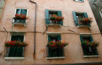 u20/fleeting_images/medium/36530886.hus_1963.jpg