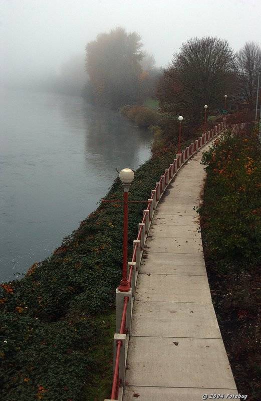 A cold and foggy morning