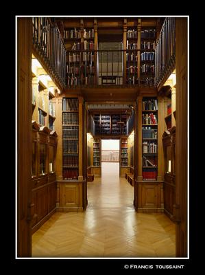 The Library-museum