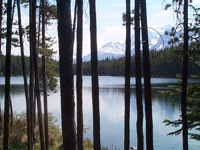 Rockies-Sound of Silence