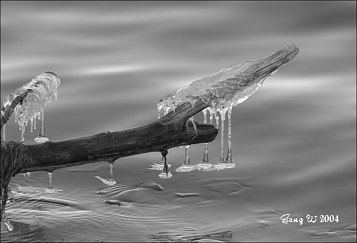 325_2589bw_700.jpg