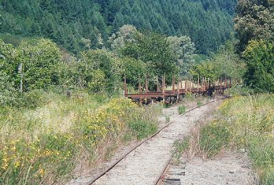 Abandoned Logging Cars