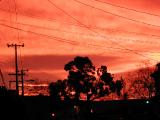 North Oakland Sunrise #3