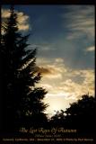 The Last Rays Of Autumn