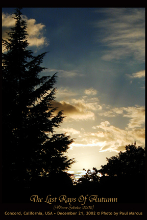 The Last Rays Of Autumn