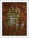 Through The Roof