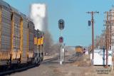 UP Northbound Autorack Train at Nunn, CO