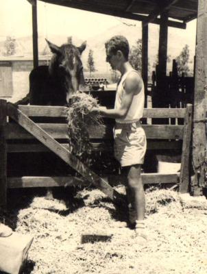 אלי לוי עם סוס - מזרע - 49