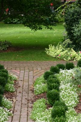 Garden Paths