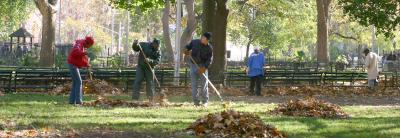 Raking the Leaves