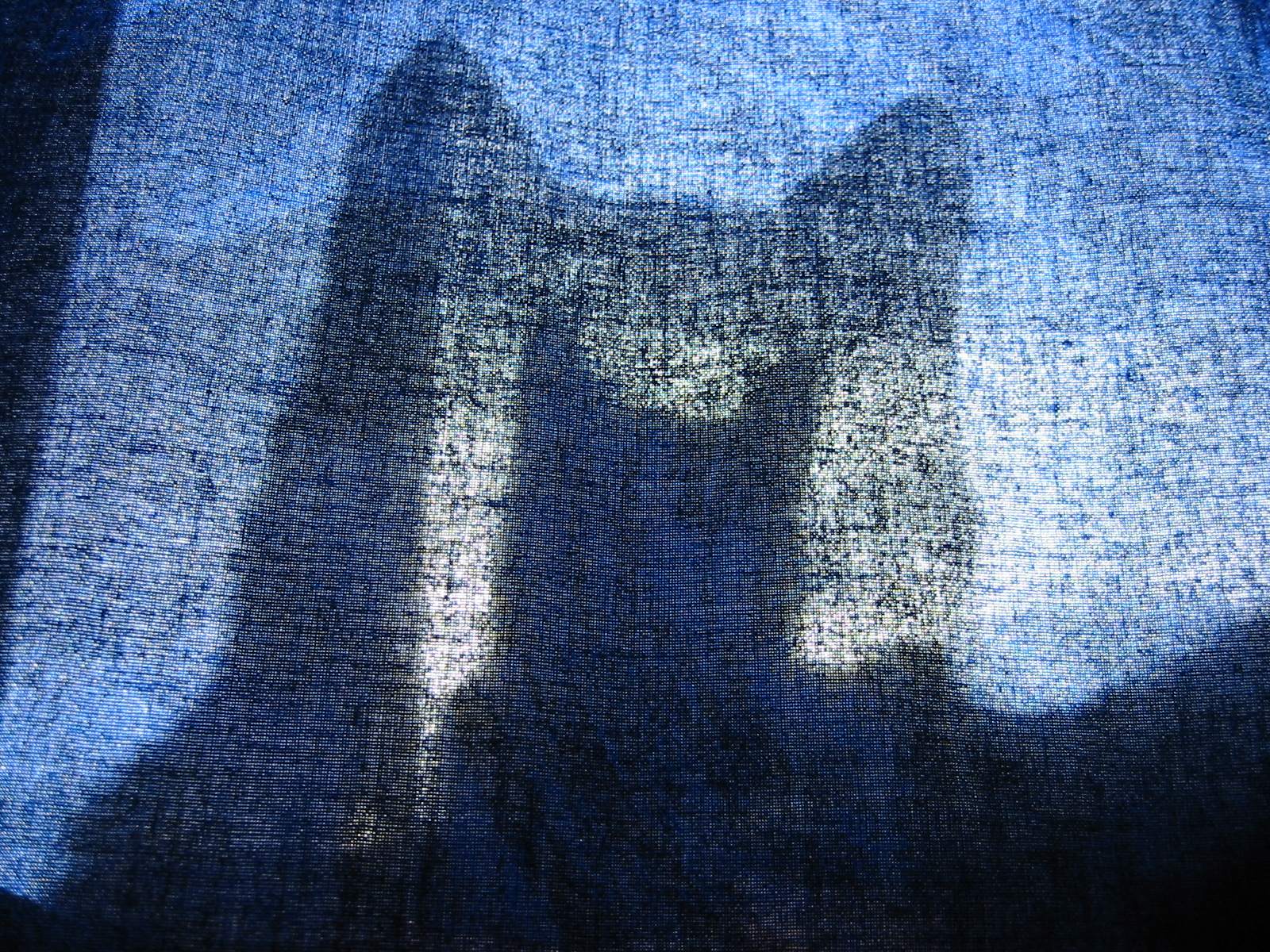 IMG16950.JPG