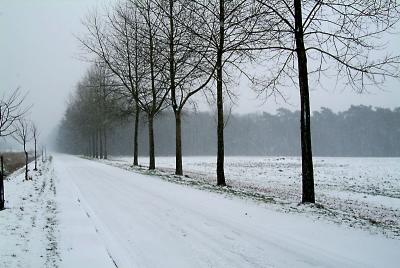 DSCF9657.jpg