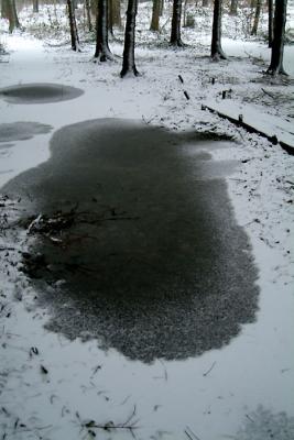 DSCF9672.jpg